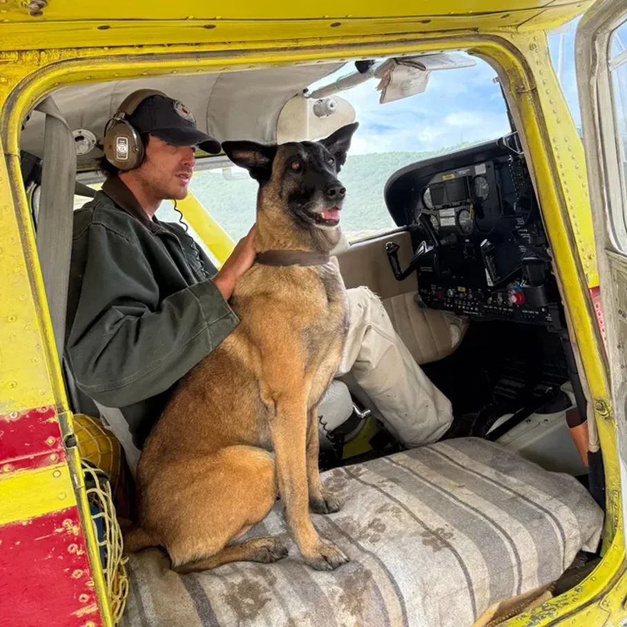 Diego, qeni që ndoqi ambulancën e të zotit për kilometra braktiset sërish 