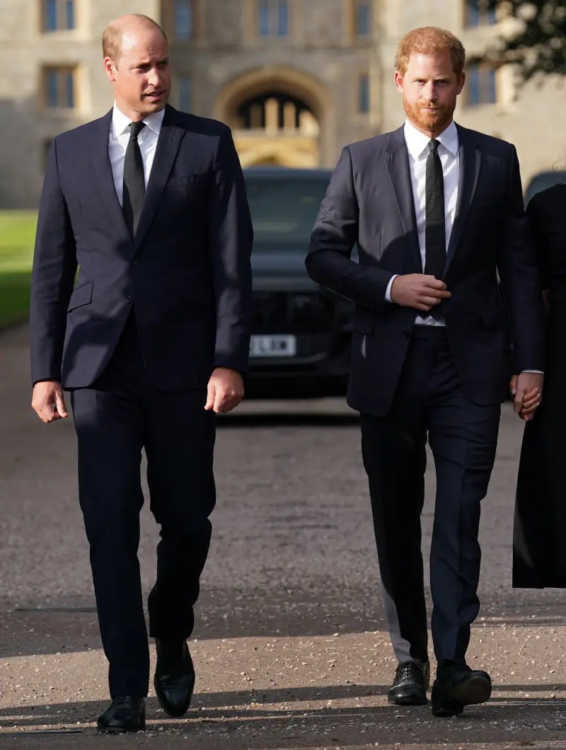 prince-william-prince-wales-prince-139586003_d90cb0.png